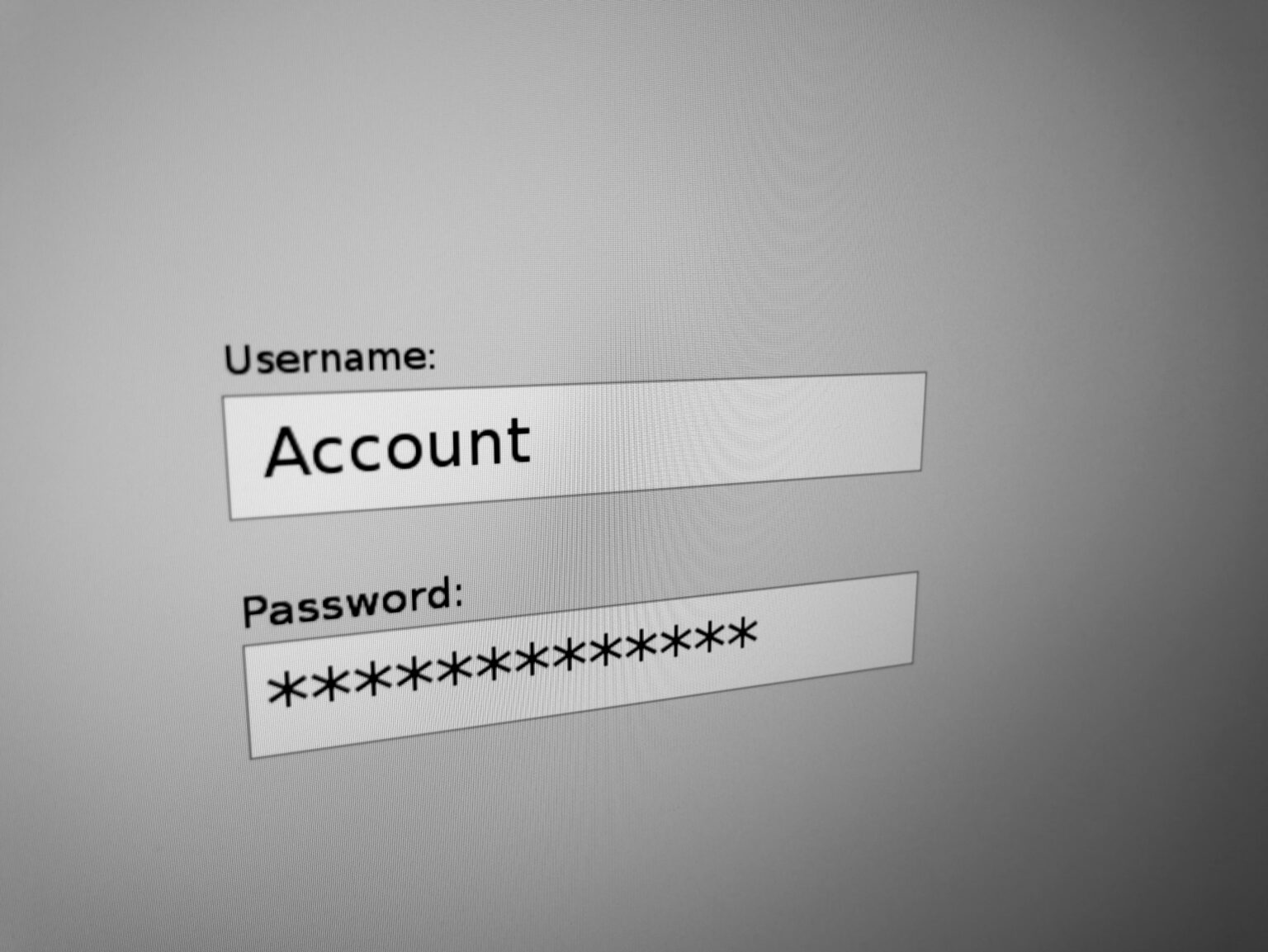 A sign-in form on a screen, with a field for a username and a field for a password.